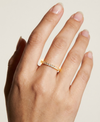 THE M ESSENTIAL PAVE' BAND